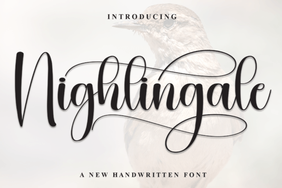Nightingale Font - Featured Image