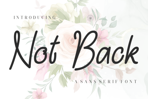 Not Back Font - Featured Image