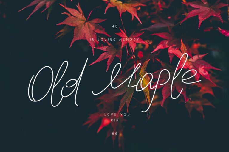 Old Maple Font - Featured Image