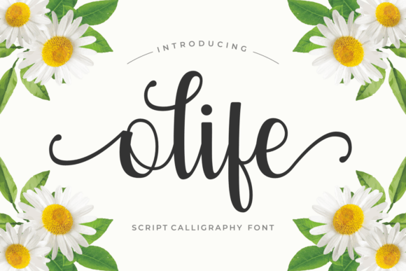 Olife Font - Featured Image