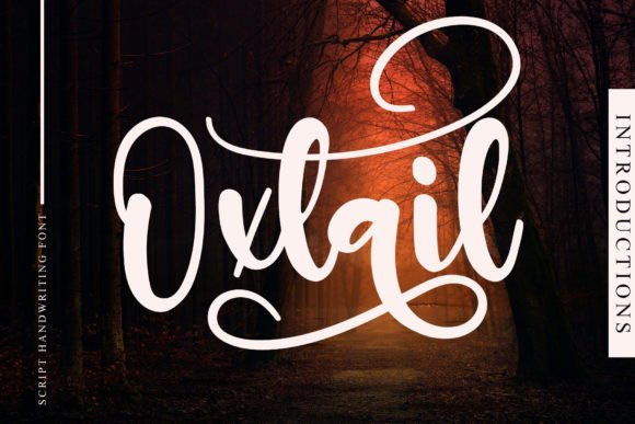 Oxtail Font - Featured Image