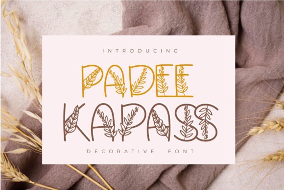 Padee Kapass Font - Featured Image
