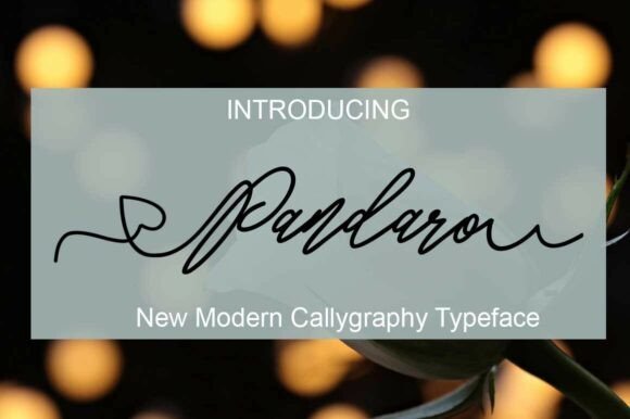 Pandaro Font - Featured Image