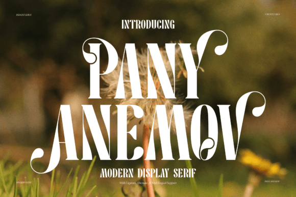 Pany Anemov Font - Featured Image