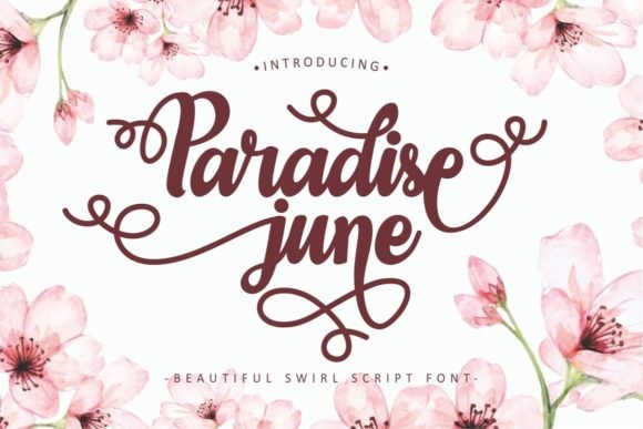 Paradise June Font - Featured Image