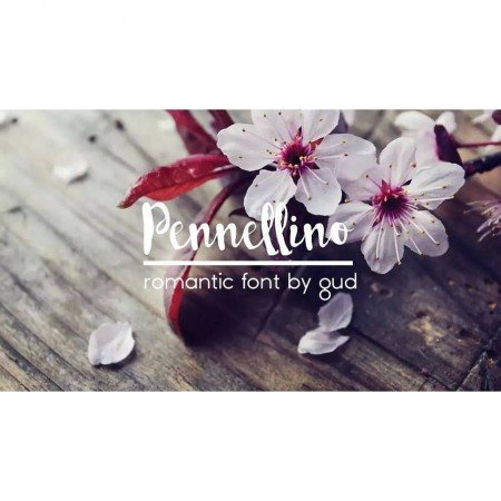 Pennellino Font - Featured Image