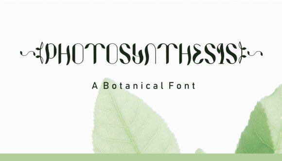 Photosynthesis Font - Featured Image