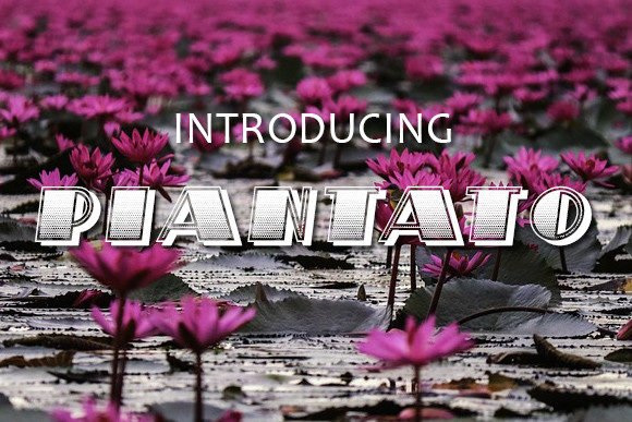 Piantato Font - Featured Image