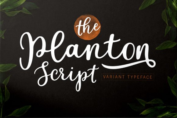 Planton Script Font - Featured Image
