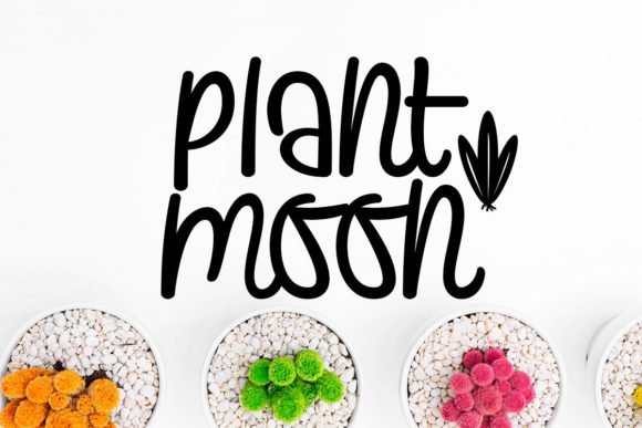 Plants and Moon Font - Featured Image