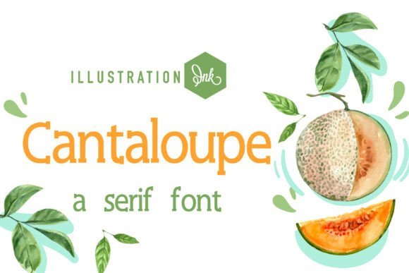 Pn Cantaloupe Fn Font - Featured Image