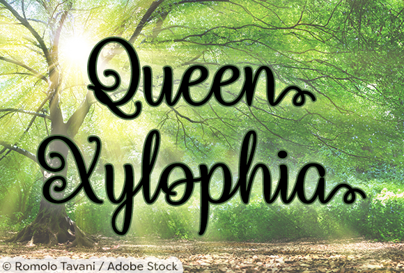 Queen Xylophia Font - Featured Image