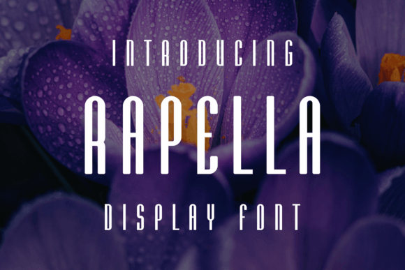 Rapella Font - Featured Image