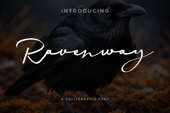 Ravenway Font - Featured Image