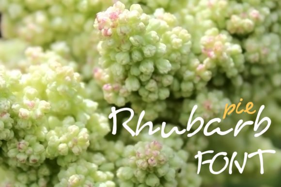 Rhubarb Pie Font - Featured Image