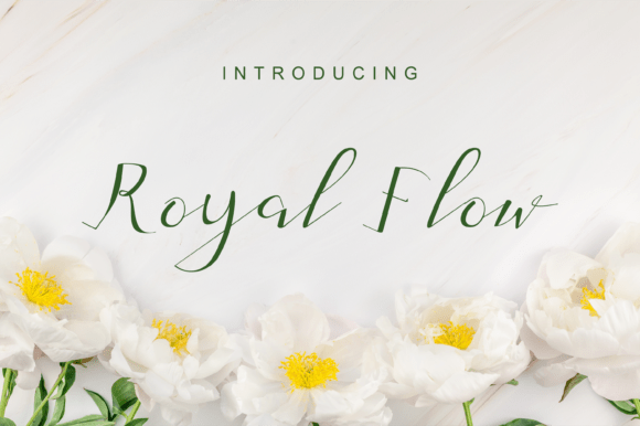 Royal Flow Font - Featured Image