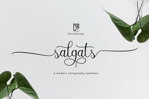 Salgats Font - Featured Image