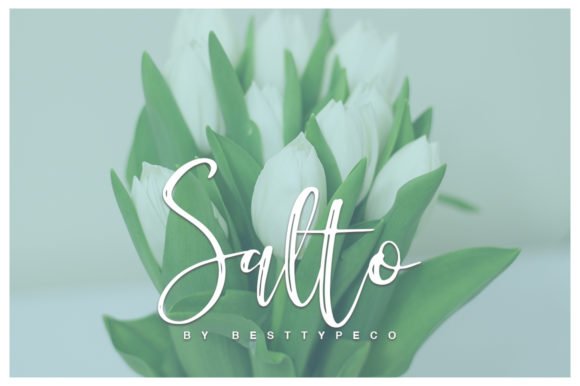 Salto Font - Featured Image