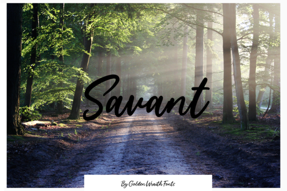 Savant Font - Featured Image