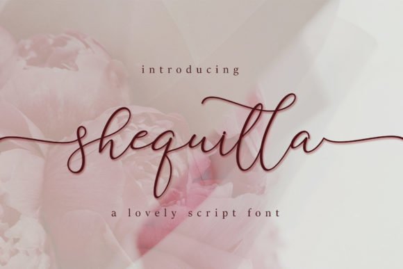 Shequilla Font - Featured Image
